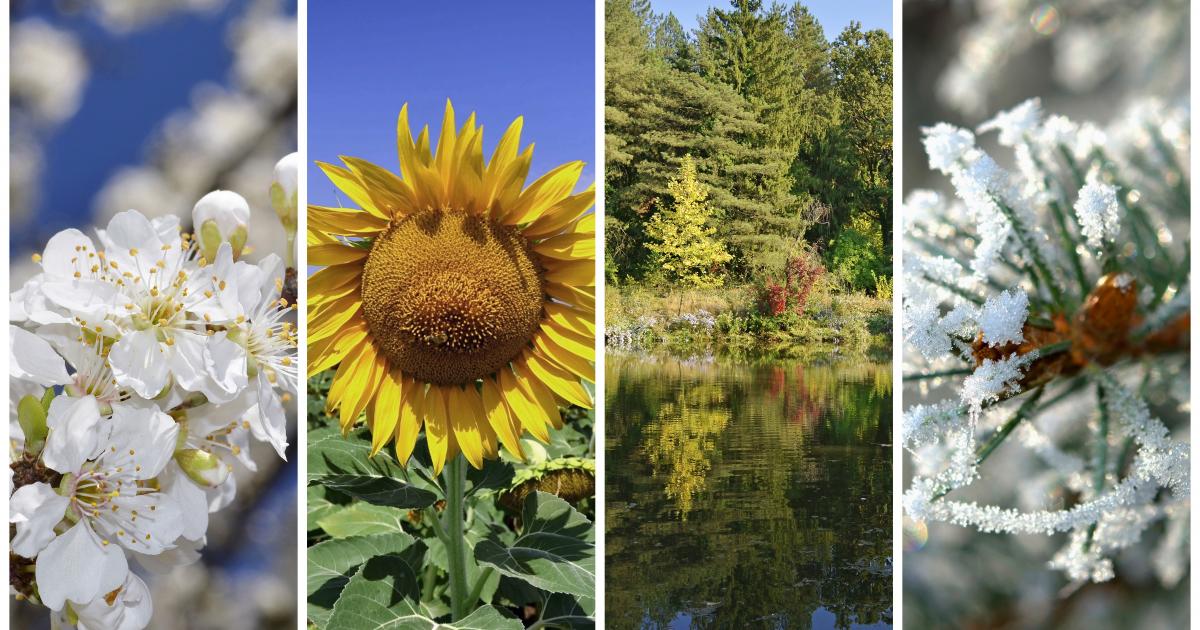 Rock the Block Season 7: HGTV Stars Battle with Celebrity Partners